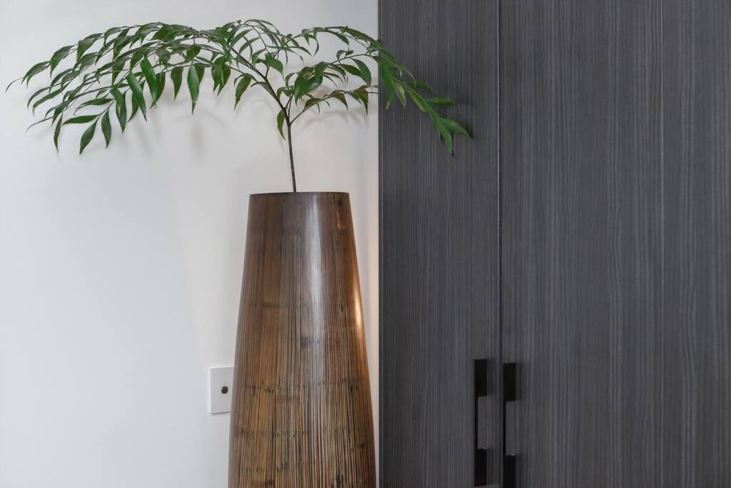 ホテル Zen State Of Mind - Calming Richmond Retreat メルボルン エクステリア 写真